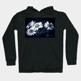 Just Daisies Hoodie